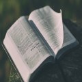 Membership Class: Local Church Commitment Course (LCCC) 